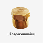 ปลั๊กอุด หัวหกเหลี่ยม ข้อต่อ ทองเหลือง